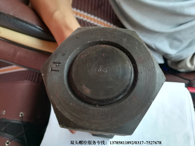 �p�^�������a�S��